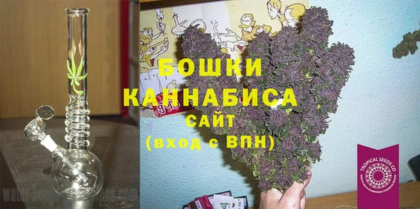 ГАЛЛЮЦИНОГЕННЫЕ ГРИБЫ Алексин