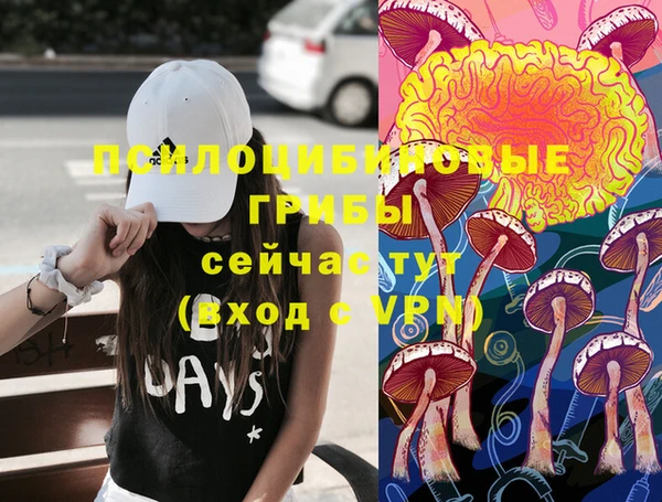 ГАЛЛЮЦИНОГЕННЫЕ ГРИБЫ Алексин